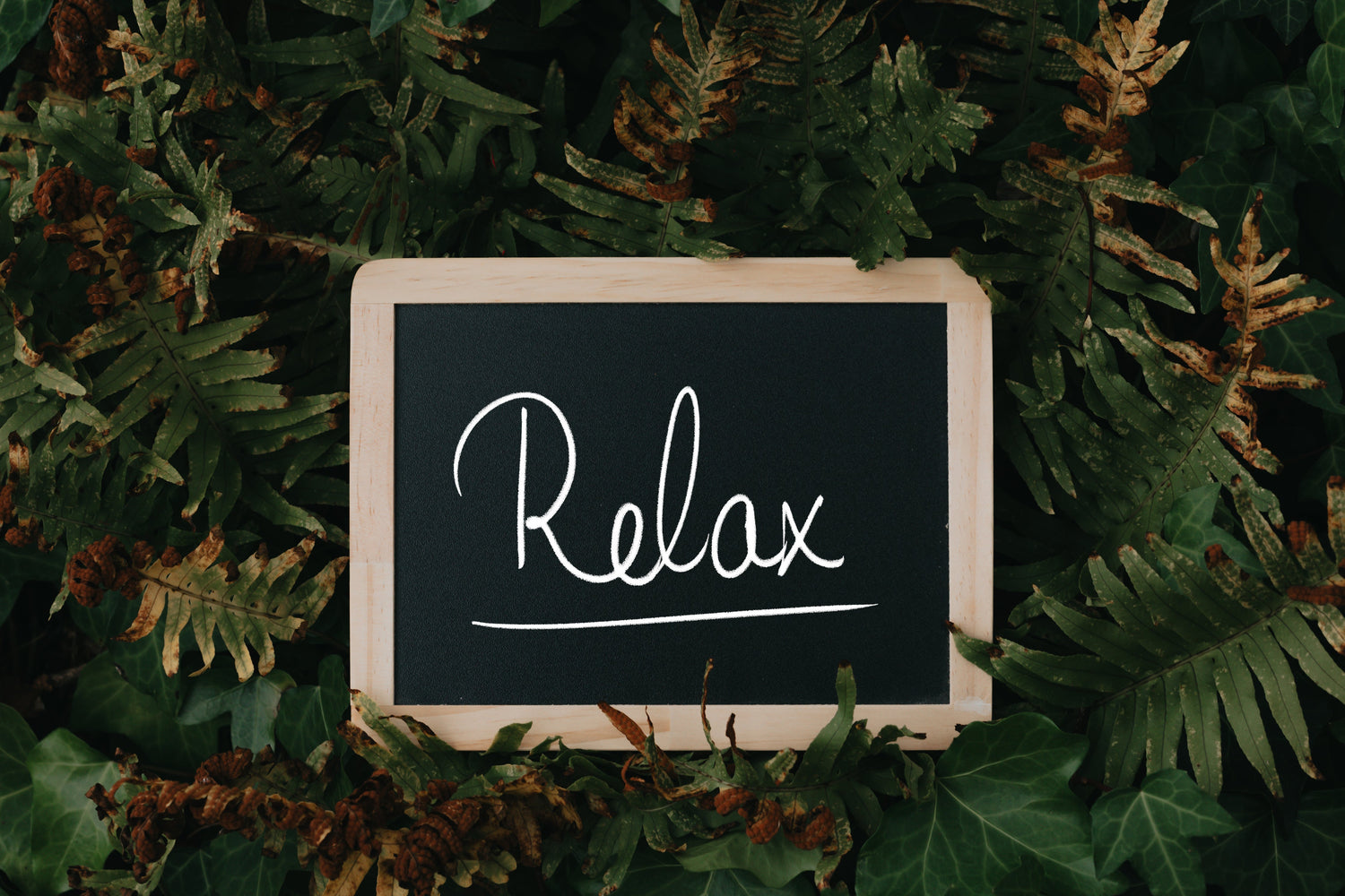 Recovery and  Therapy