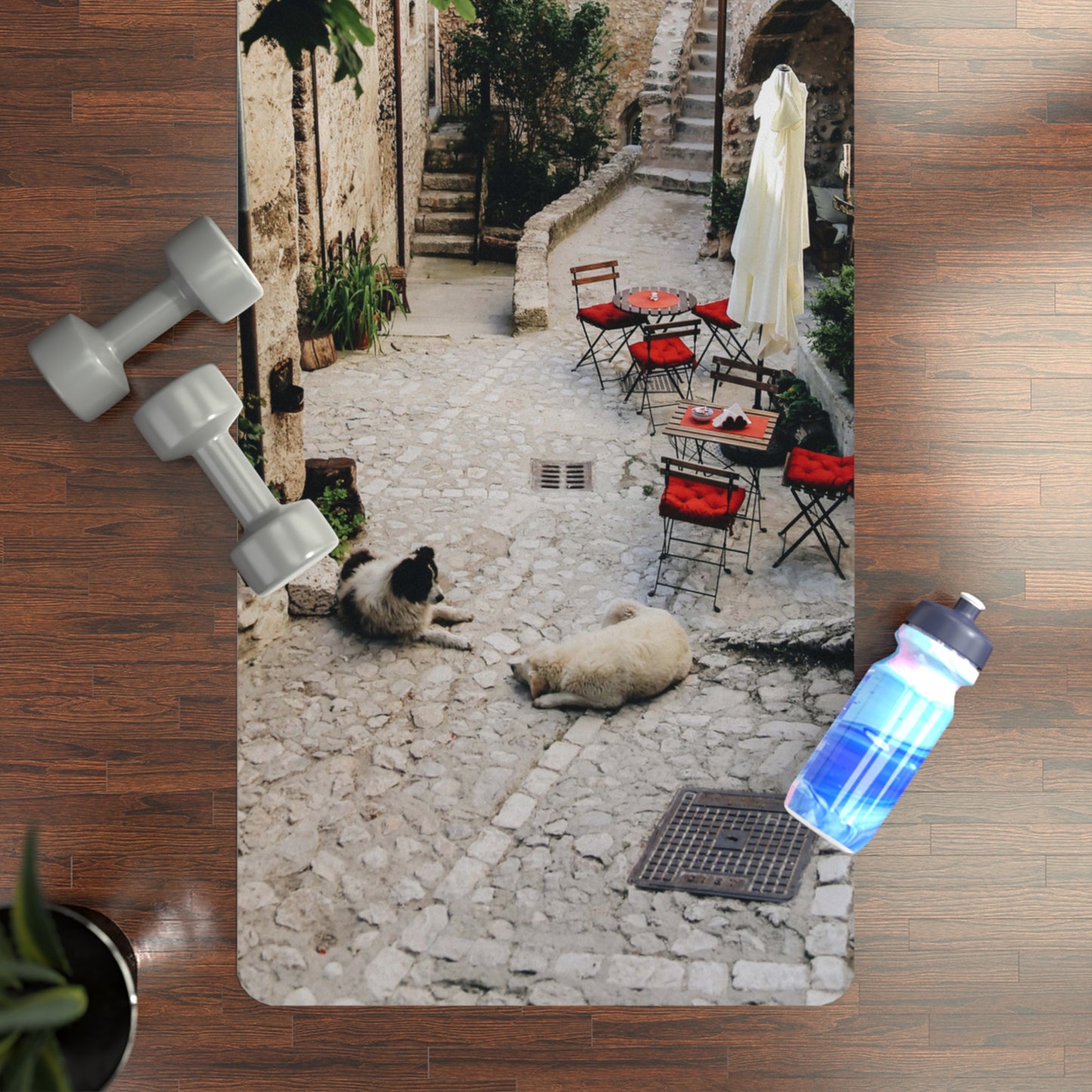 Tuscan Yoga Mat w/Carry Strap