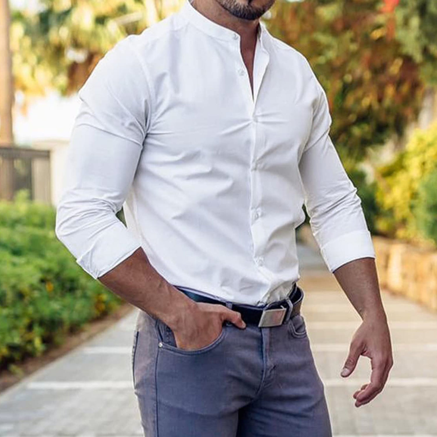 Tailored Fit Clothing Collection