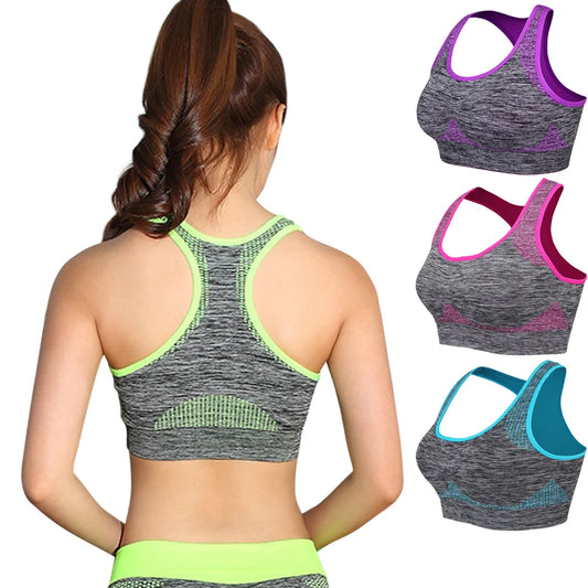 Seamless Quick Dry Sports Bra