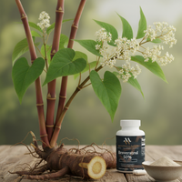 Clear bottle of mywellness.health Trans-Resveratrol 50% antioxidant capsules with white label and green accents