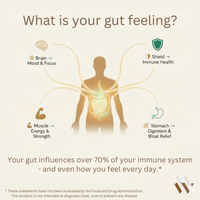 White bottle of mywellness.health Probiotic 40 Billion CFU with Prebiotics, 60 capsules for natural digestive support