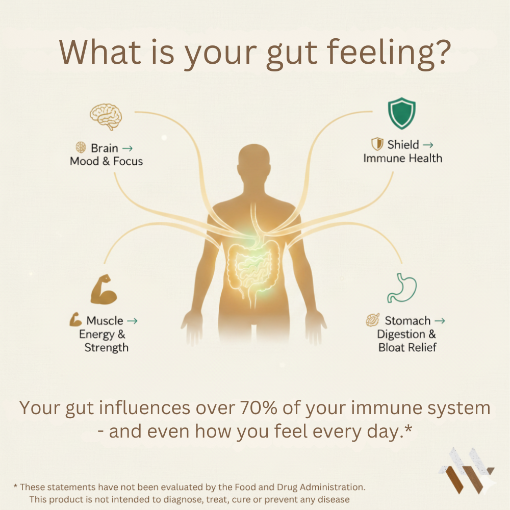 White bottle of mywellness.health Probiotic 40 Billion CFU with Prebiotics, 60 capsules for natural digestive support