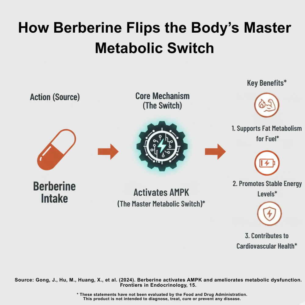 Natural Berberine supplement by mywellness.health in a white bottle for blood sugar support
